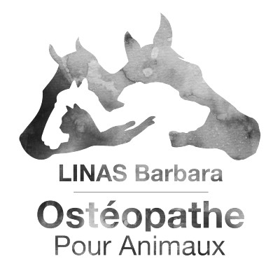 Barbara Linas Ostéopathe pour Animaux