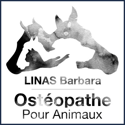 Barbara Linas Ostéopathe pour Animaux