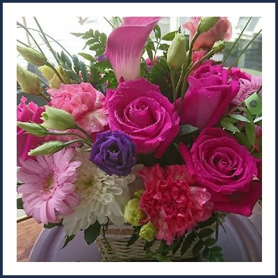 Camping La Rose de Provence