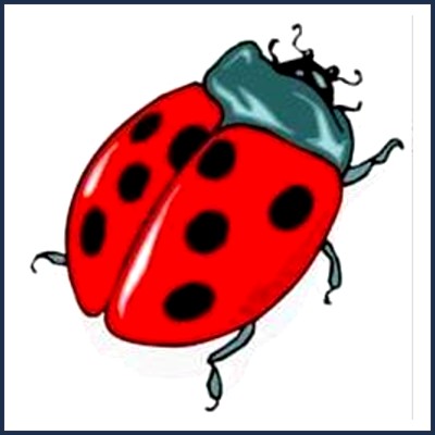 Ferme Équestre Les Coccinelles