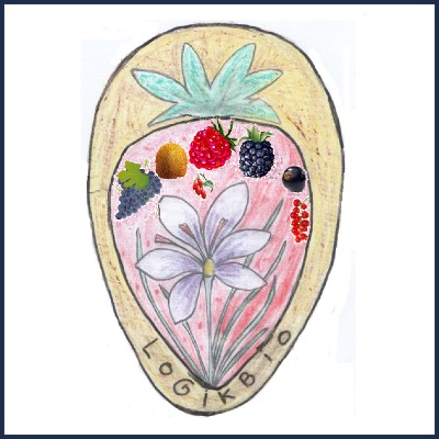 Ferme Logikbio Pizzata