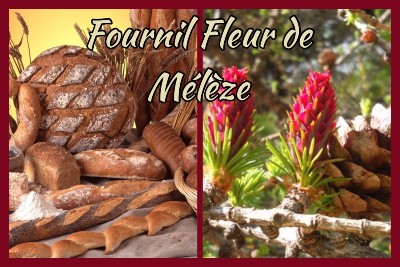 Fournil Fleur de Mélèze