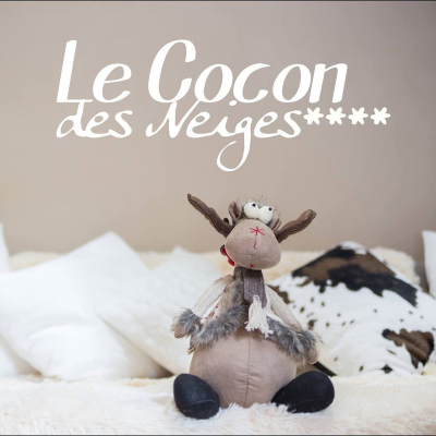 Le Cocon des Neiges Hôtel & Spa