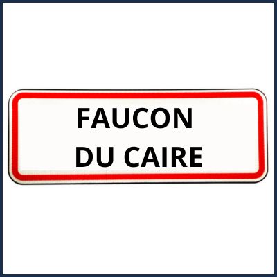 Mairie de Faucon du Caire