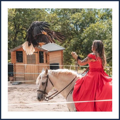 Parc Animalier Les Aigles du Verdon