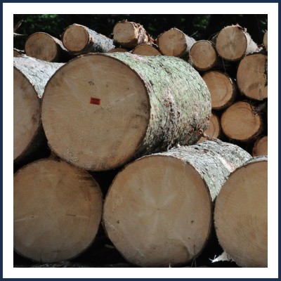 Scierie Jean-Luc Paglia