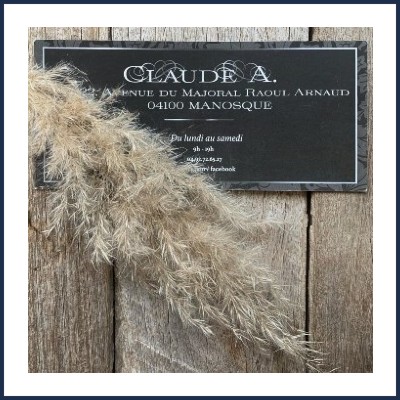 Coiffure Claude A