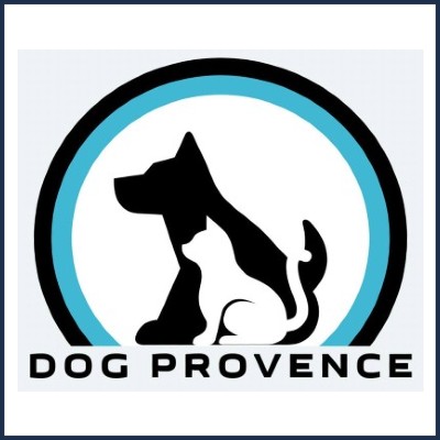 Dog Provence Fanny Pension Canine