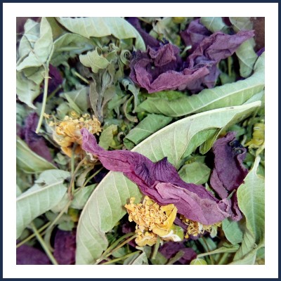 Olivia Jacquet Agricultrice