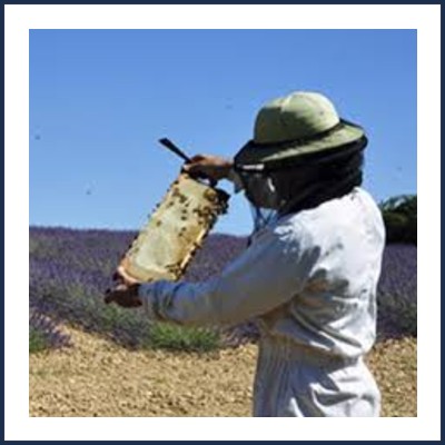 Ferme de la Boutonnelle
