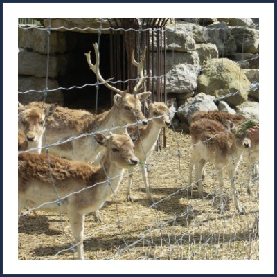 La Bergerie de Faucon