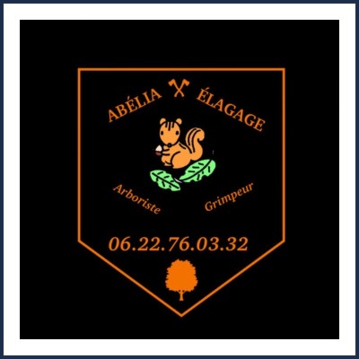 Abélia Élagage
