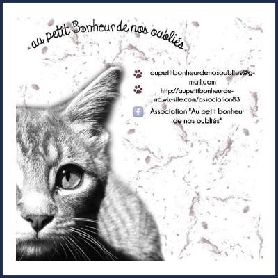 Association Au Petit Bonheur de nos Oubliés