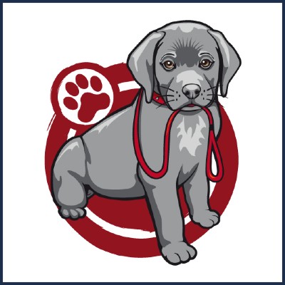 Cani Coach à Domicile