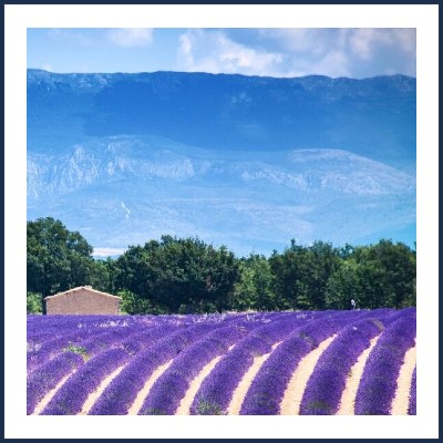 Créations BioVégétales