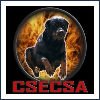 CSECSA Éducation Canine