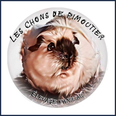 Éleveur Les Chons de Pimoutier