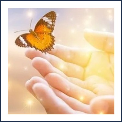 Stéphanie Climent Bien Être des Personnes et des Animaux