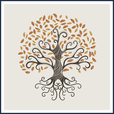 Valentin Muller Thérapie Psycho Corporelle