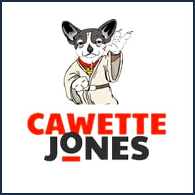 Cawette Jones Vendre et Acheter vos Collectors