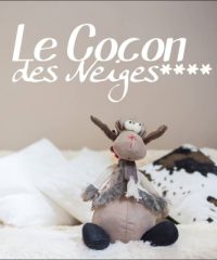 Le Cocon des Neiges Hôtel & Spa