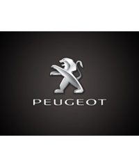 Peugeot Digne les Bains