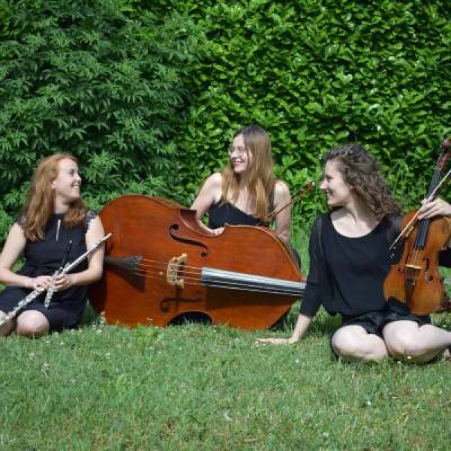 Seyne les Alpes. 14ème Festival Jeunes Musiciens