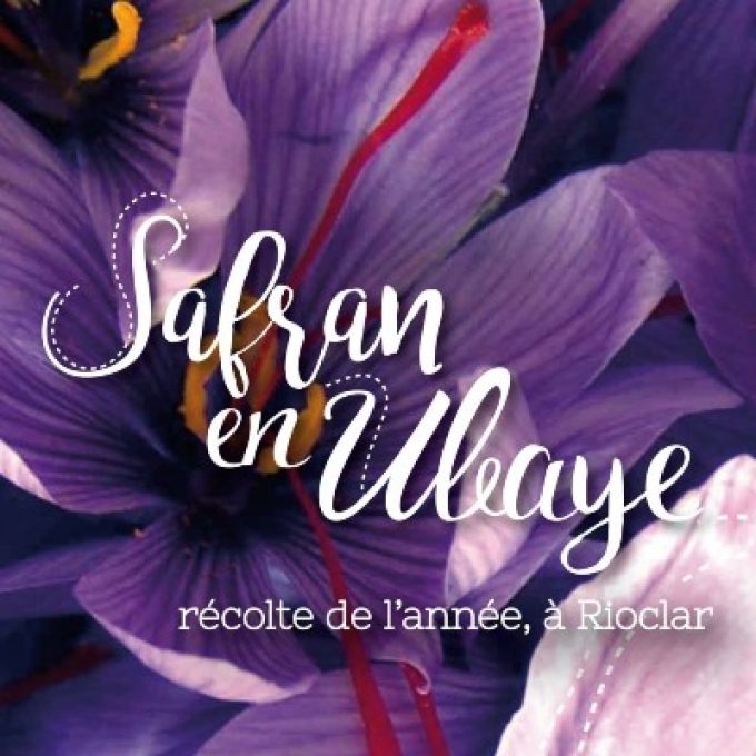 Safran en Ubaye au Chazal