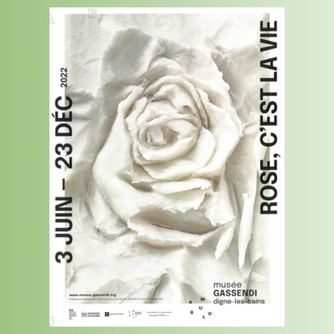 Exposition Rose, c&rsquo;est la vie Digne-les-Bains